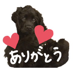 Rina_20210502132523