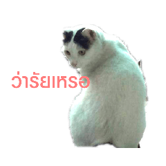 michiko_20210502083348