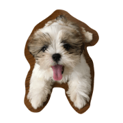 CORO CHAN