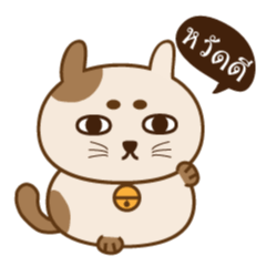 Neko Pang