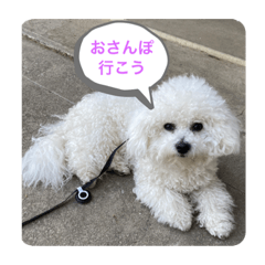 hikari_20210502145125