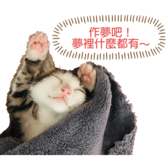 炸蝦飯糰與兇巴阿花