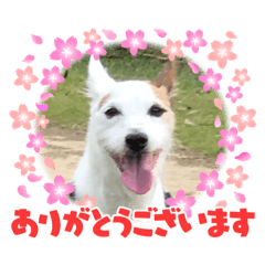 CHIE_20210502162936