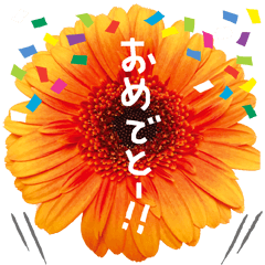 Flower02(Japanese)