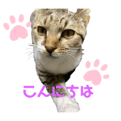 nico_kou20210502171229