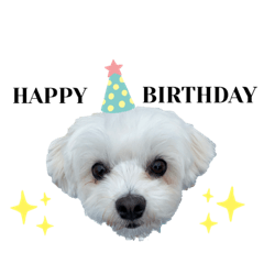 ASUKA_20210502185035