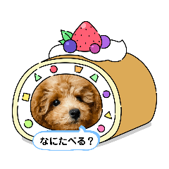 MATSU_20210502213340