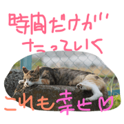 cat deer bird