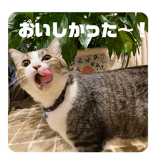 rina_20210503002249