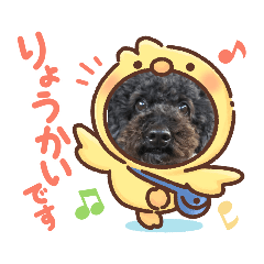 himawari_20210503003047