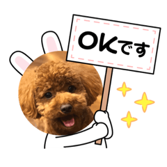 Nanami_20210503064139