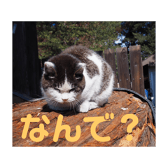 mimi_20210503095940