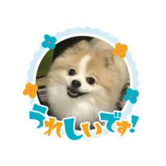 hana_20210503000937