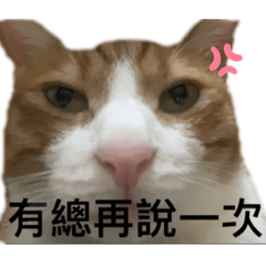 畢哥哥