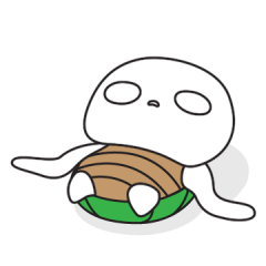 mochi turtle