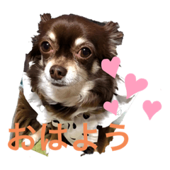 CHIE_20210503105947
