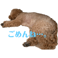 asuka_20210503112405