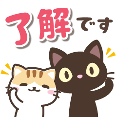 black cat and calico cat(Moving)