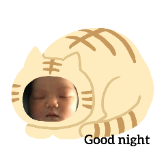 cream_20210502202834