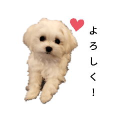 YUTO_20210503122839