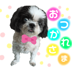 chihiro_20210503134423