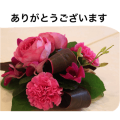 nature flower