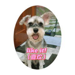 帥帥Cooper就是我