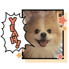 hana_20210503144248