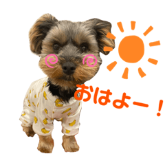 mini_20210503150037