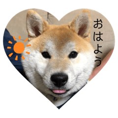 tomomi_20210503161645