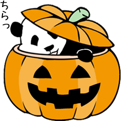 Pandan(autumn)