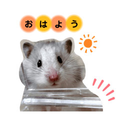 mizuki_20210503163413