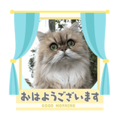 akiko_20210503174633