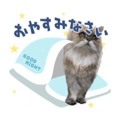 akiko_20210503175255