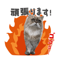 akiko_20210503175646