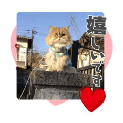 akiko_20210503175510