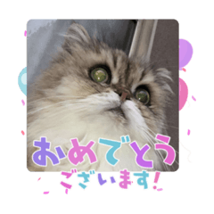 akiko_20210503175416