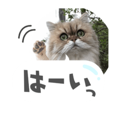 akiko_20210503175603