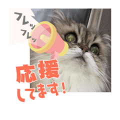 akiko_20210503175736