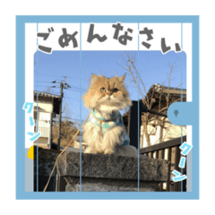 akiko_20210503175833