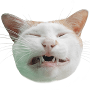 Cat_Lumpini park