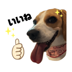 Asuka_20210503193226