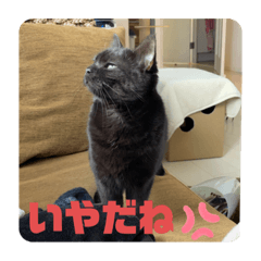 asuka_20210503223158