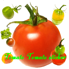 Tomato Tomato sticker