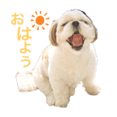 kaho_20210503215825