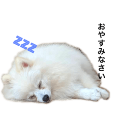 MIZUKI_20210503220721