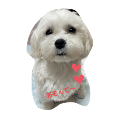 omo_20210503224638