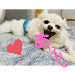 rina_20210503223644