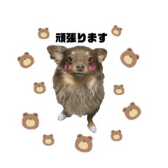 kazuki_20210504014220