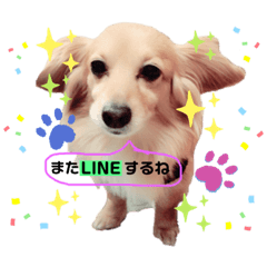 ken_20210504095833